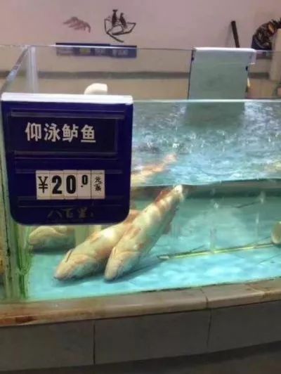 发条乐点：女人最受不了的男款情趣内衣