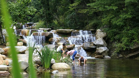 西安出发4小时避暑胜地,西安熊猫谷旅游