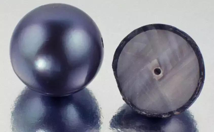 「小火说」弄不懂这些你还敢收藏珍珠（一）