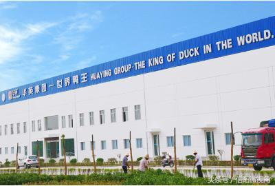 华英集团什么时候升级产业,华英集团最新现状