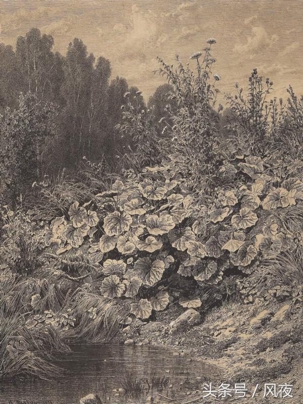 素描风景画的不好？这7个方法，让你的风景画造诣更上一层楼！