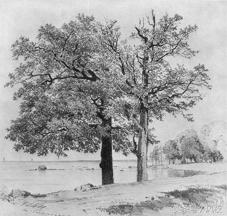 素描风景画的不好？这7个方法，让你的风景画造诣更上一层楼！