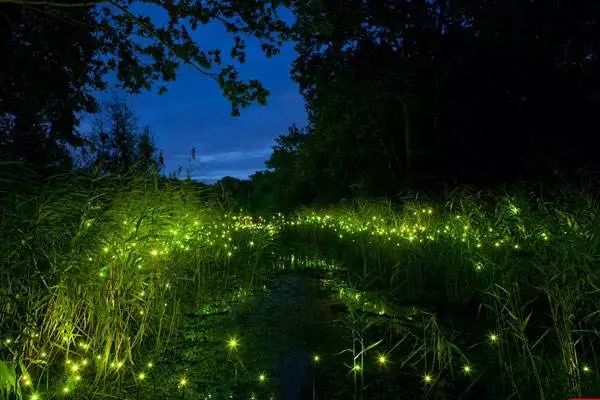 最美丽的霓虹灯光,最美丽的灯光夜晚不带字幕