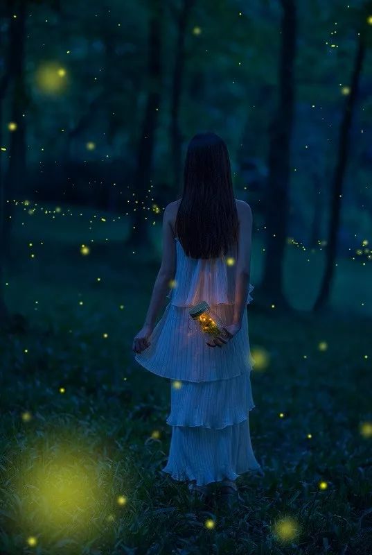 最美丽的霓虹灯光,最美丽的灯光夜晚不带字幕