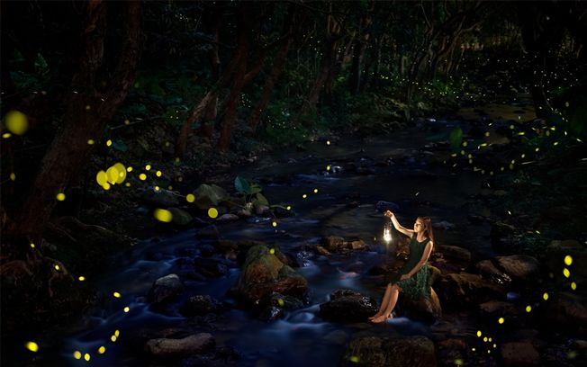 最美丽的霓虹灯光,最美丽的灯光夜晚不带字幕