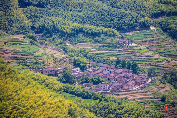遂昌，一个在浙江只有25度的县城，被江浙沪誉为最值得度假的地方