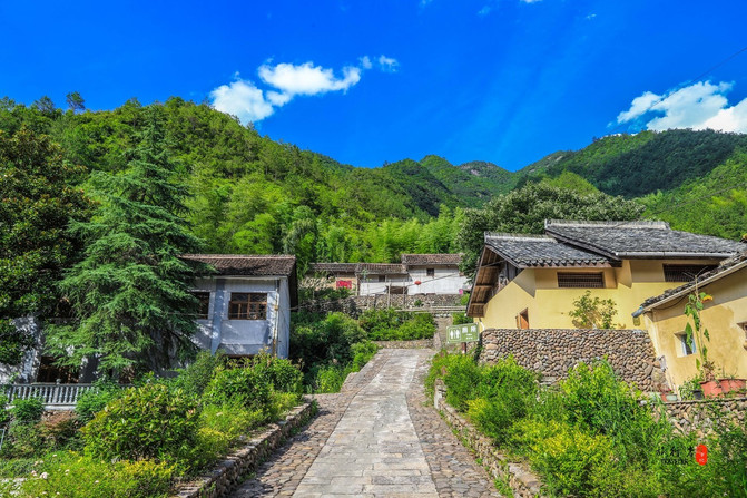 遂昌，一个在浙江只有25度的县城，被江浙沪誉为最值得度假的地方