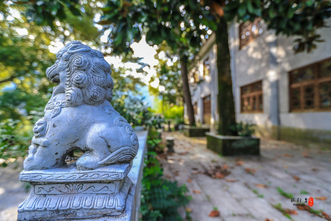 遂昌，一个在浙江只有25度的县城，被江浙沪誉为最值得度假的地方