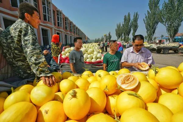 走遍天涯海角忘不了歌名叫什么,走遍天涯海角忘不了原唱