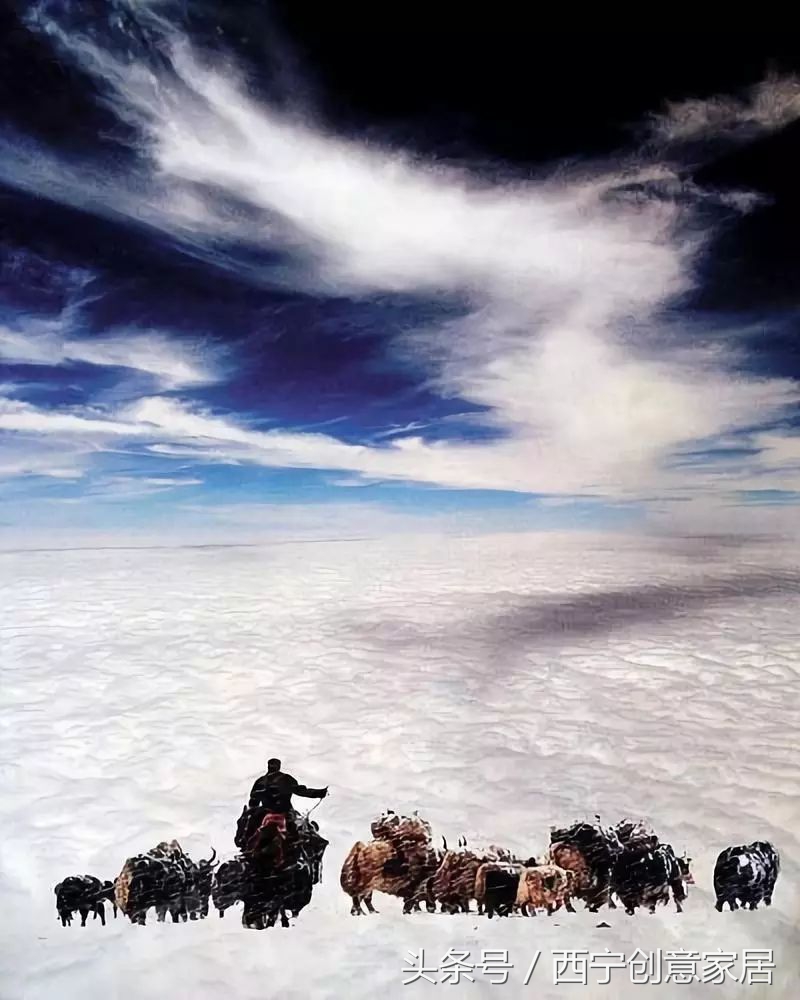 青海为什么频繁发生地震,青海人为什么长得好看