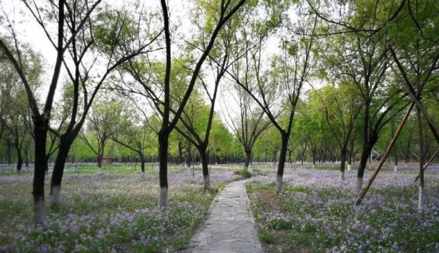 北京哪些公园对18岁以下免费,北京60岁以上老人免费公园明细