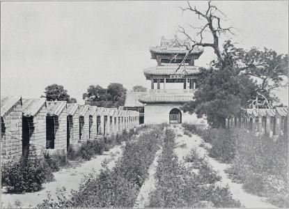 日本文化中的僧人,日本僧人凡俗