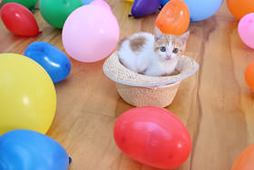 有趣的相机视频教程,佳能相机使用技巧大全