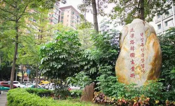 带你看广州最美的夜景,带你看广州一线江景