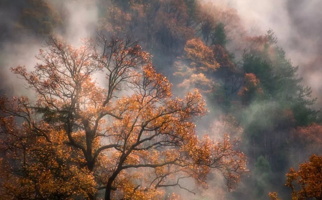 杭州临安万豪酒店效果图,杭州第二家万豪酒店