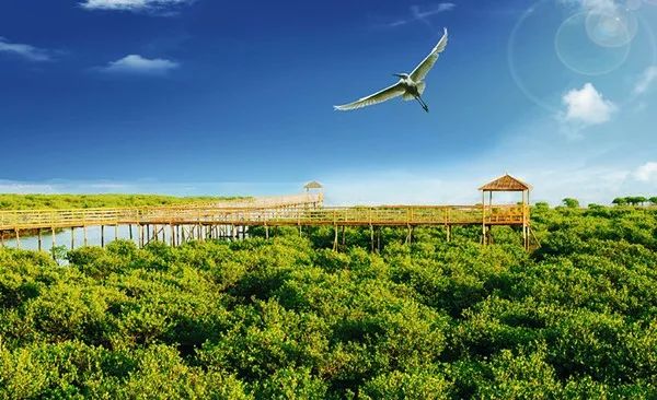 说走就走的旅行广西防城港,自己一个人去防城港旅游