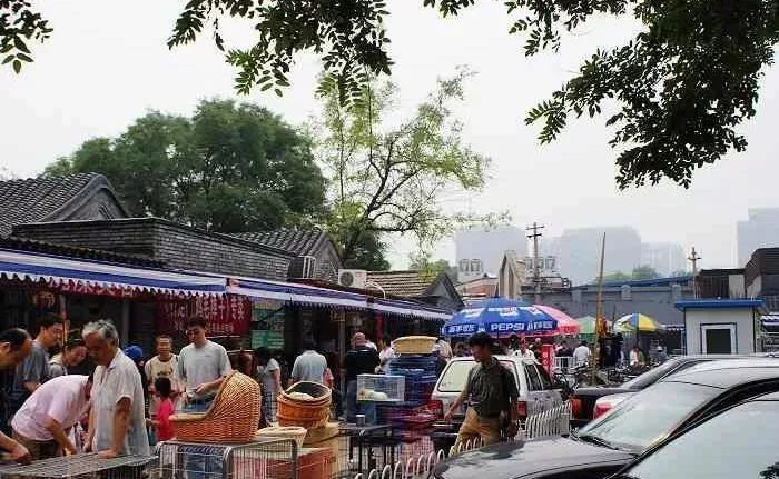 西城最后一个！20年的老市场9月底就没！想怀念的赶紧！