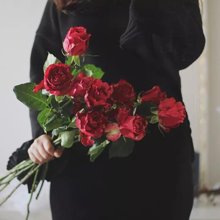 七夕节送花关于颜色的寓意,送花朵数讲究