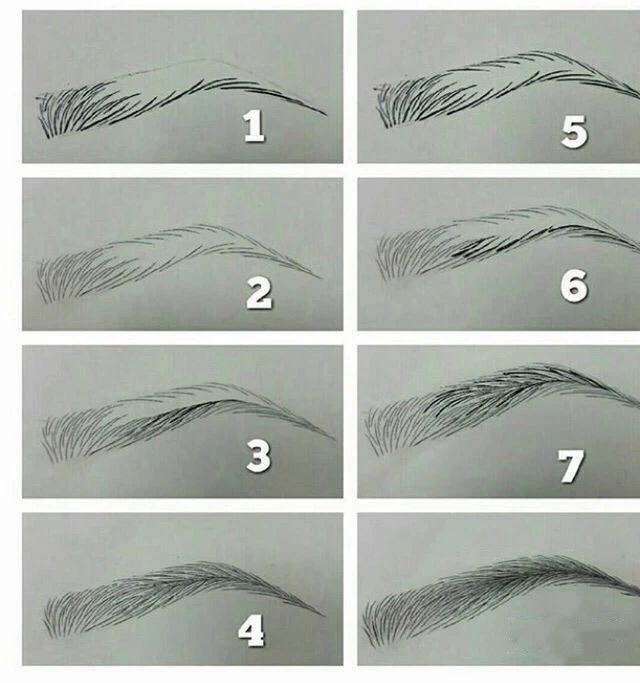 人物眉毛怎么画,画眉毛的教程简笔画