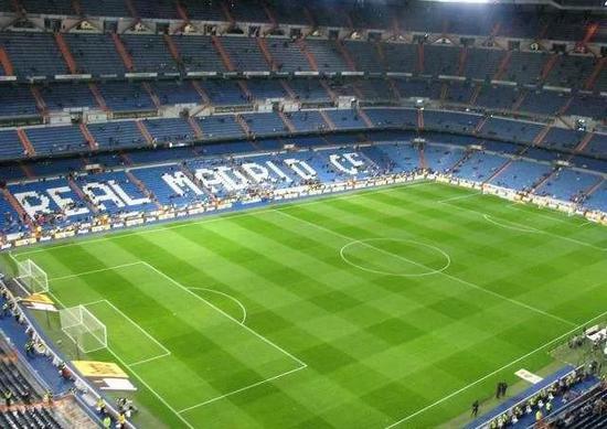 河南建业足球草皮,河南建业草皮