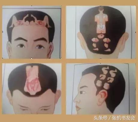 针灸按摩全息图（收藏版）