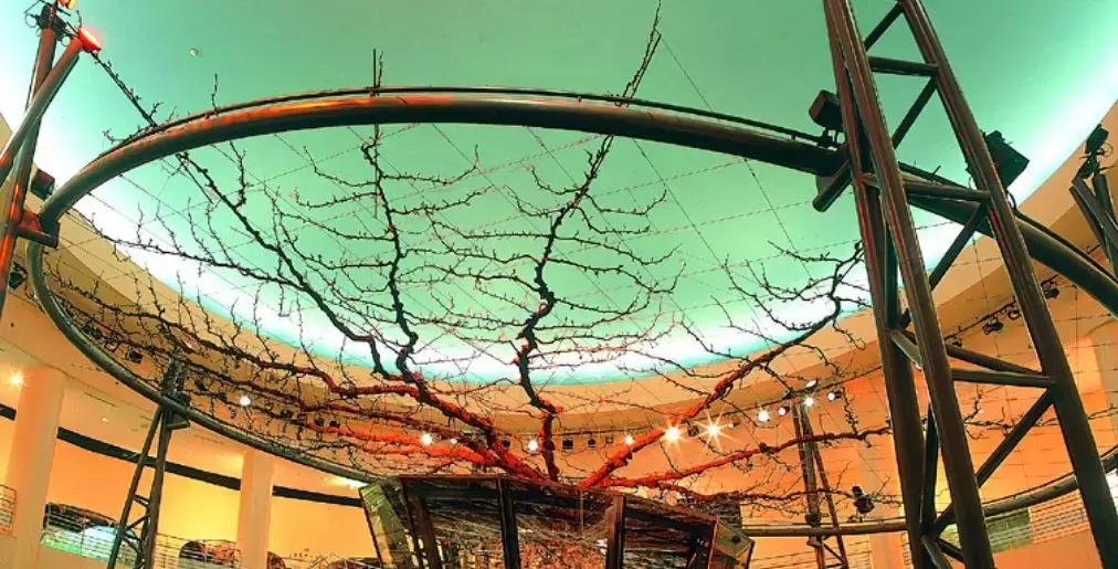 日本车牌变迁,日本2020年经典车牌