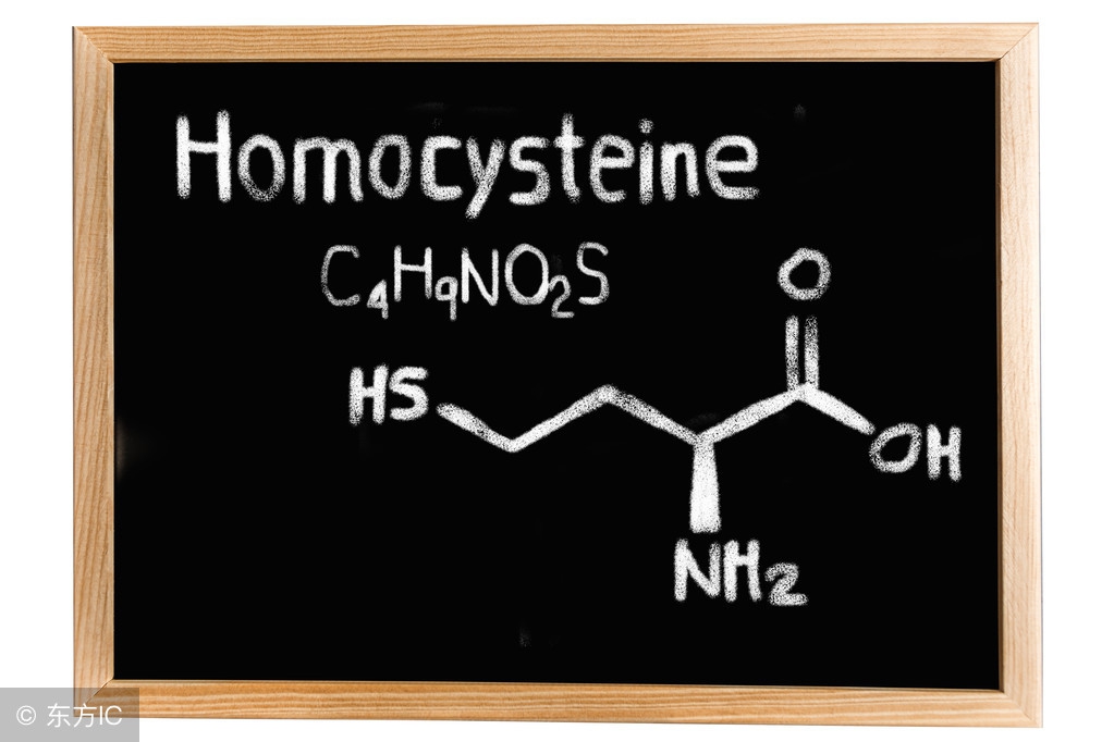 同型半胱氨酸升高需警惕这5种严重疾病,6种营养素帮你来应对!
