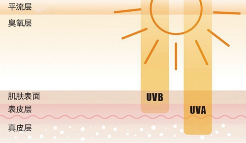 防晒丸防晒,网红防晒测评