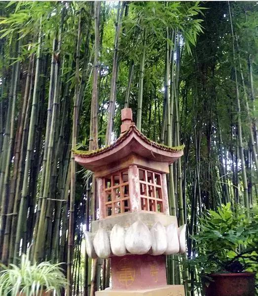 重庆冬天适合去哪个农家乐,重庆农家乐冬天一日游