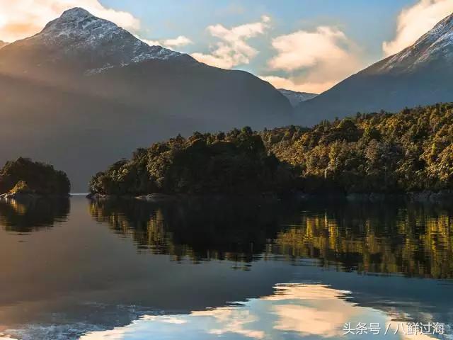 新西兰红色岩龙虾,新西兰岩龙虾介绍