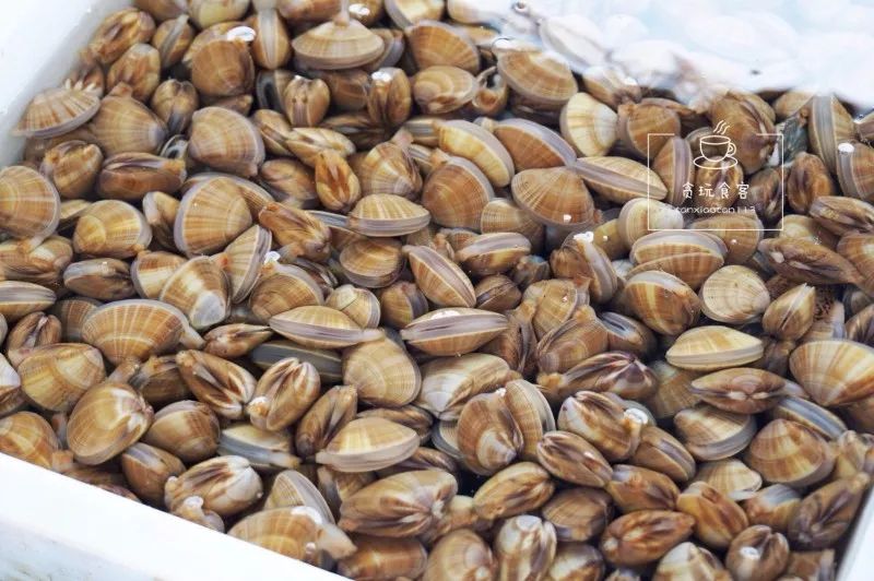 暑期去山东龙口,拍ins风网红大片,看没有游客蔚蓝大海!