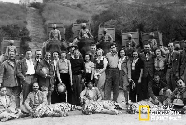 国家地理的真相,国家地理讲虎的纪录片