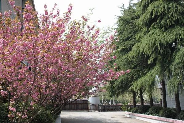 再见小学图片,再见小学视频