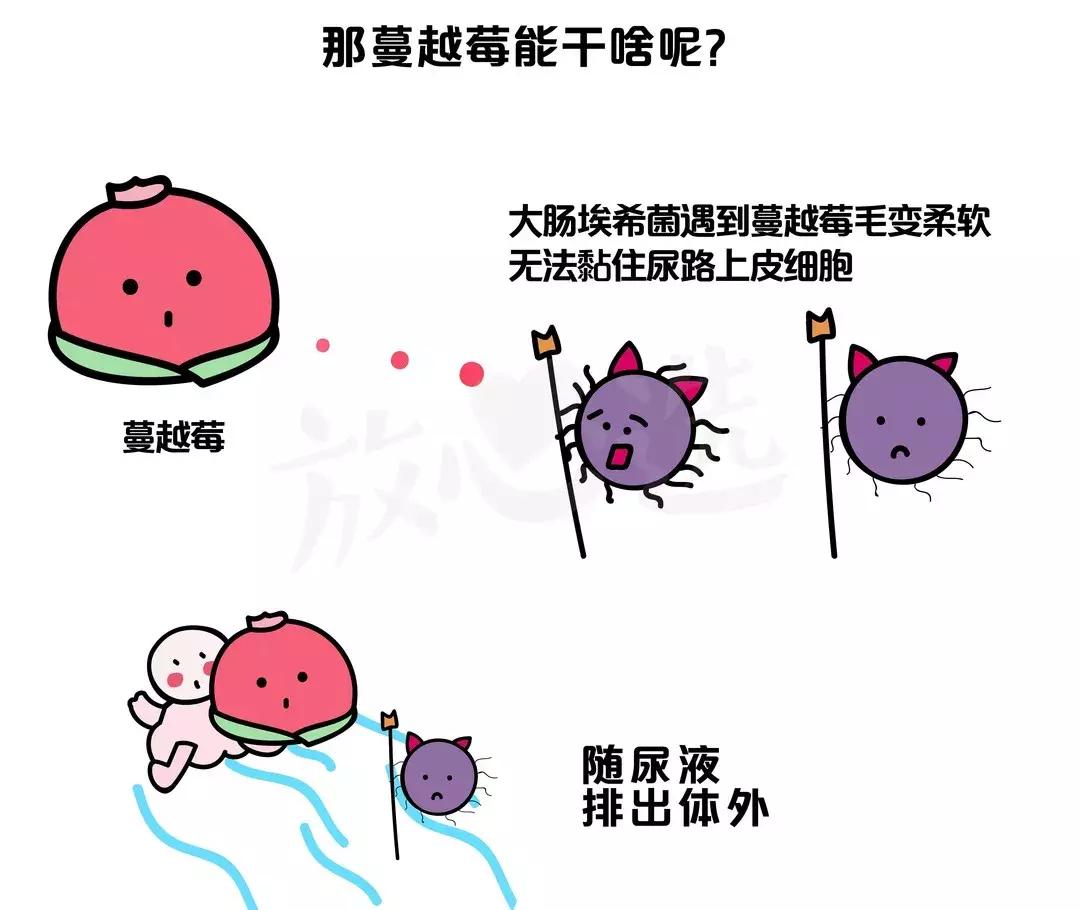 会保养的小姐姐,长期服用蔓越莓胶囊好不好呀