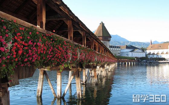 办理瑞士留学的流程,瑞士留学签证必备材料清单