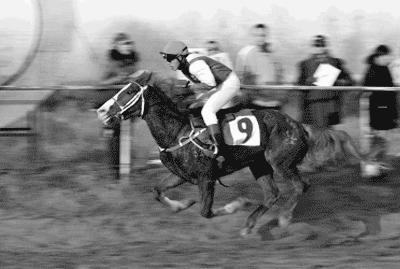 十赌九输的证明是什么,十赌九输看明白了吗