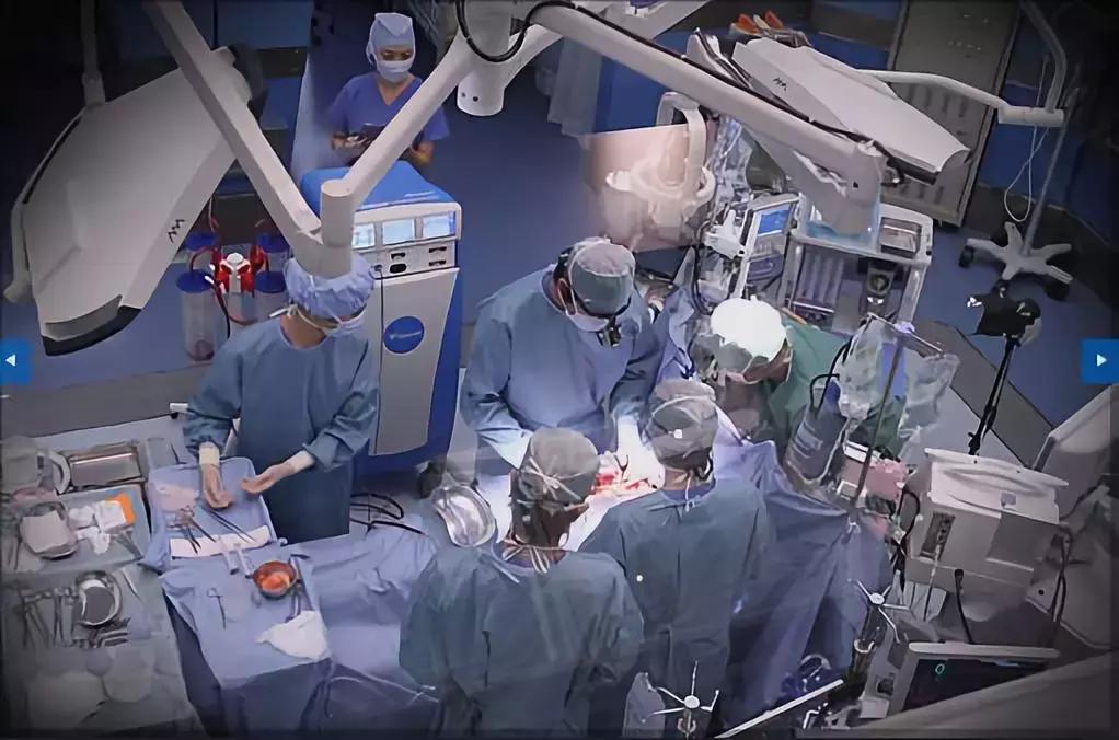 知道日本还有这些暖心窝的国民福利，99%的国人应该不淡定