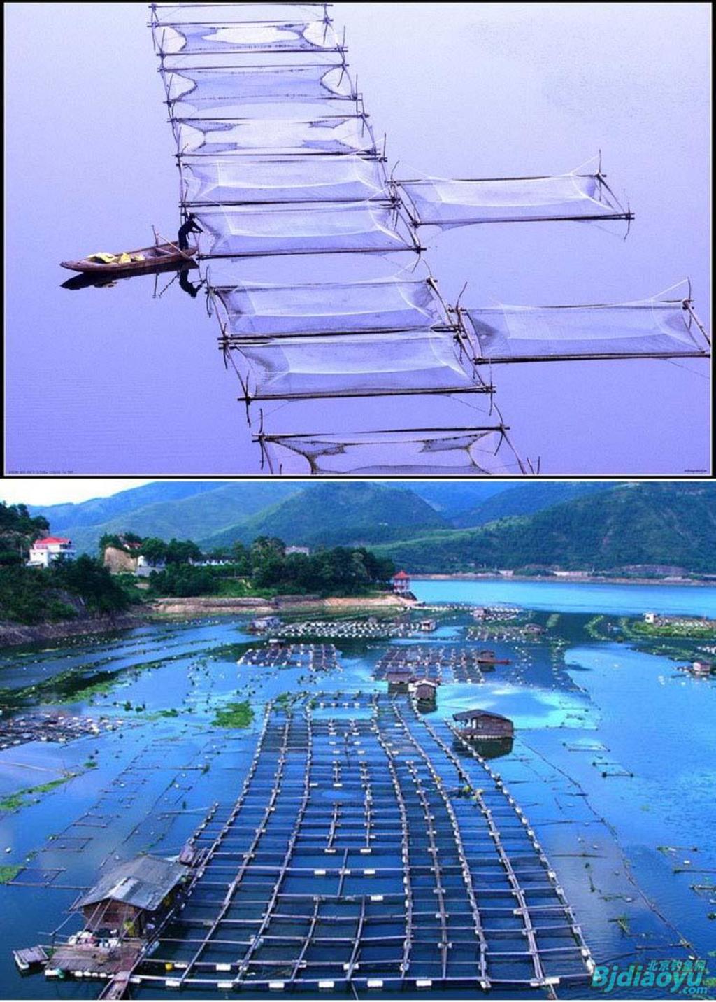 我的筏钓之乐全集,我的筏钓之乐完整版