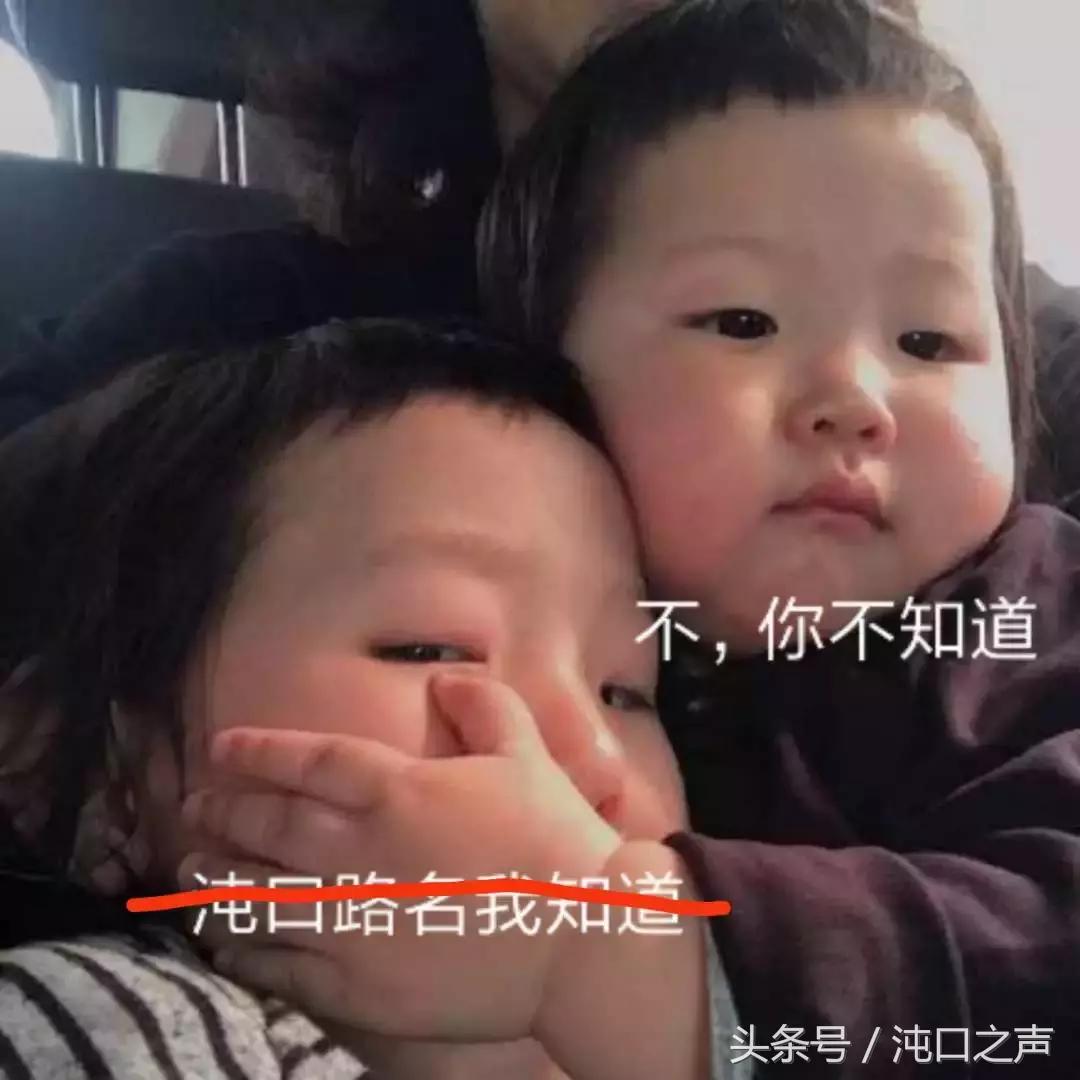 沌口的这条路竟然有两个名字！到底哪个靠谱？原来……