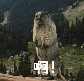 「哈哈」千万别看这些智障小说！哈哈哈哈哈哈哈哈哈哈哈……