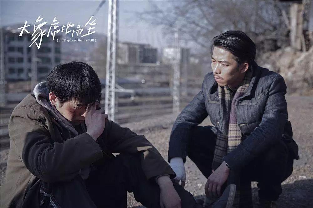 大象席地而坐导演怎么了,大象席地而坐电影导演胡波