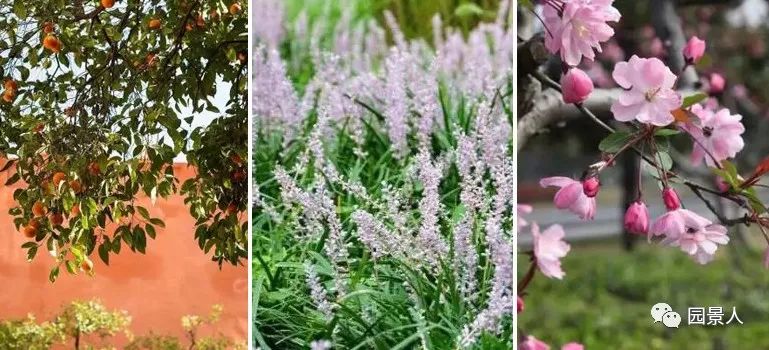 别墅庭院烧烤休闲区风水,别墅院子风水讲解大全