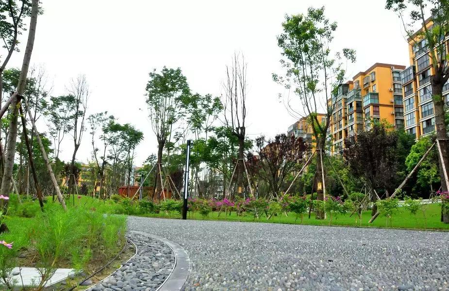 双流新增公园,双流新城区有哪些公园