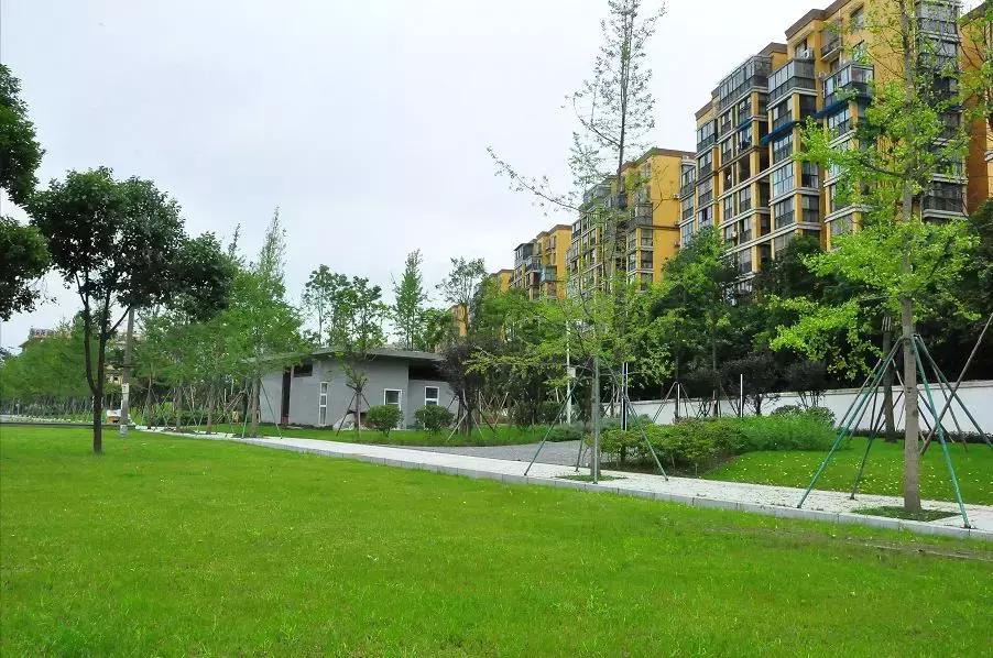 双流新增公园,双流新城区有哪些公园