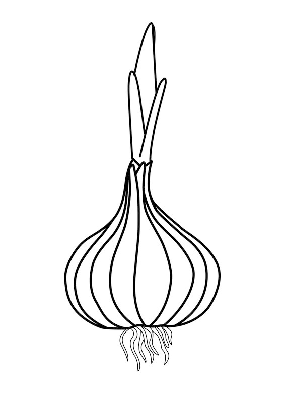 各种水果蔬菜的简笔画图片,简笔画蔬菜水果24张简单简笔画