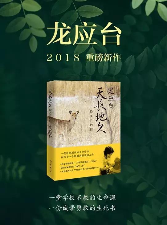 暌违十年,龙应台天长地久经典片段