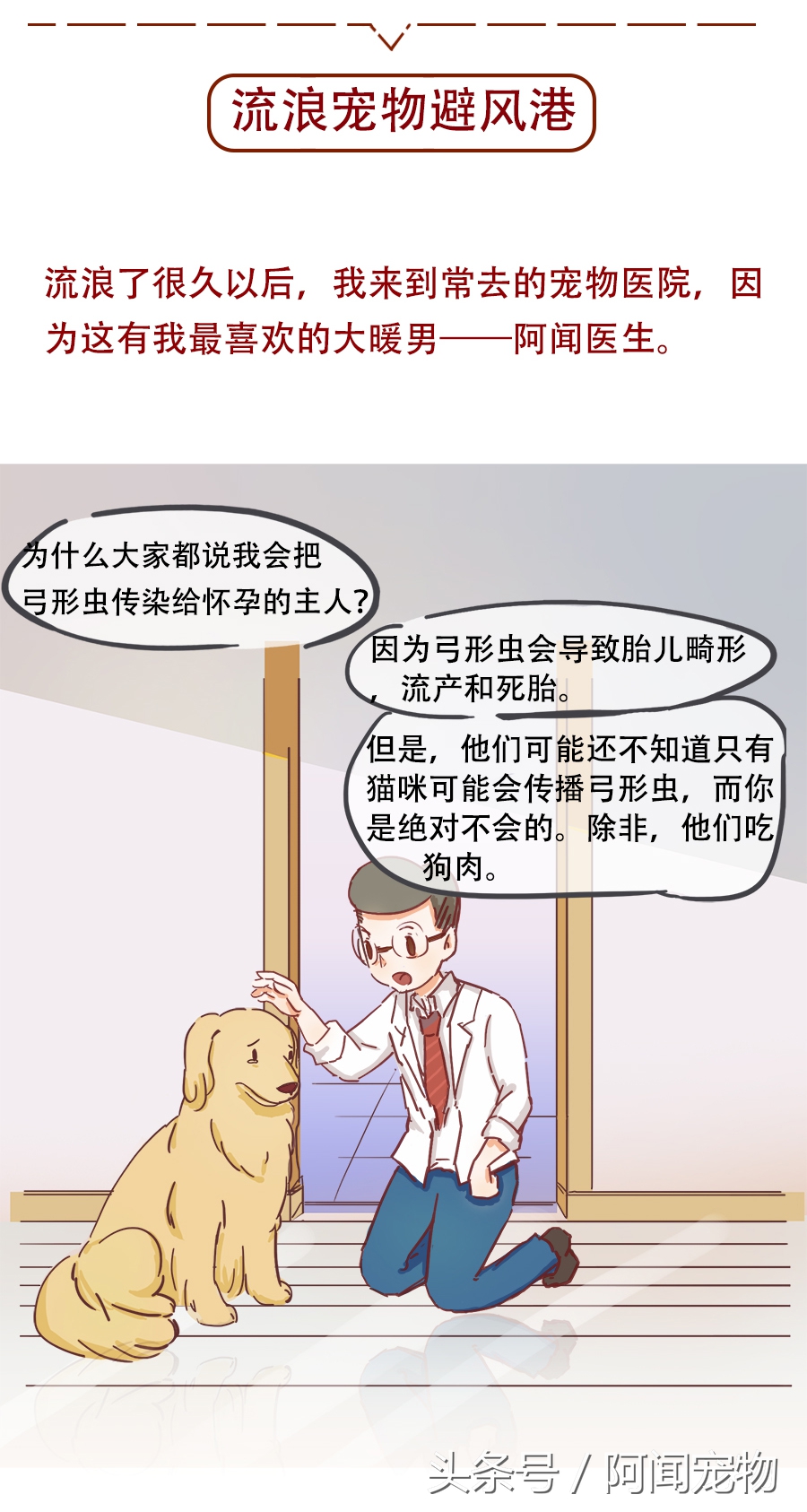没养过猫狗的孕妇会感染弓形虫吗,孕期需要给猫狗做几次弓形虫检查