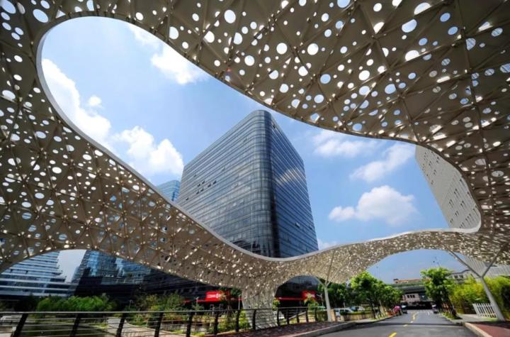 陈卫强杭州,杭州市人民政府陈卫强