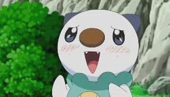 宠物小精灵初始宝可梦,宠物小精灵三个初始精灵