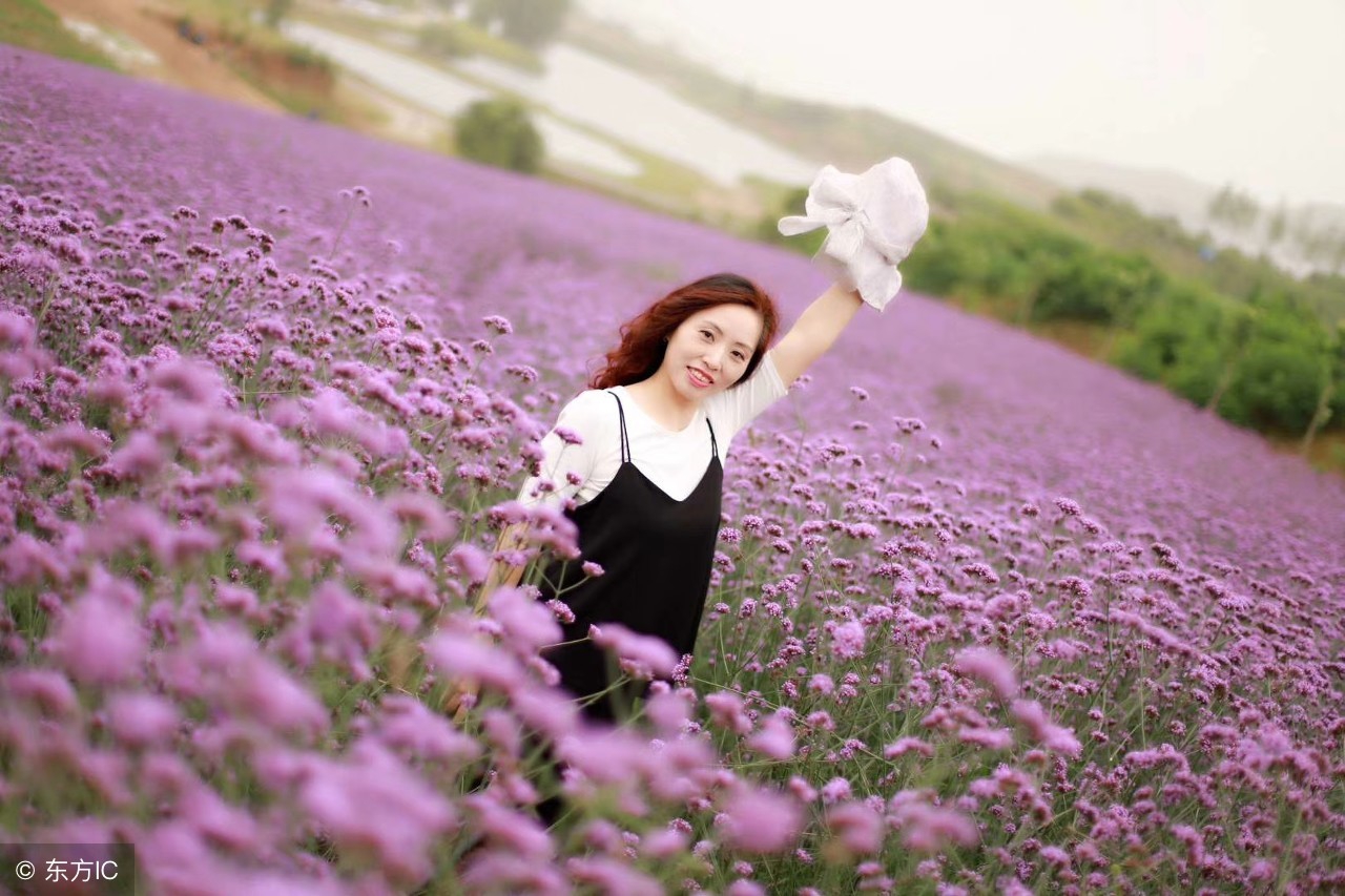 薰衣草原来有这么多好处！看来我们需要重新认识一下